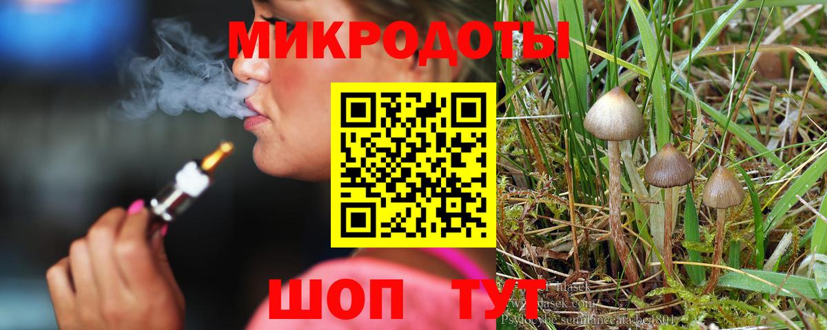 Псилоцибиновые грибы мицелий Дзержинский