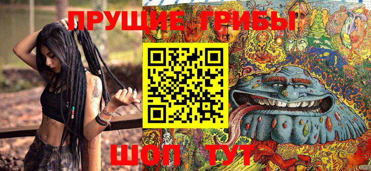 Дзержинский  Псилоцибиновые грибы мухоморы  Вход с VPN 